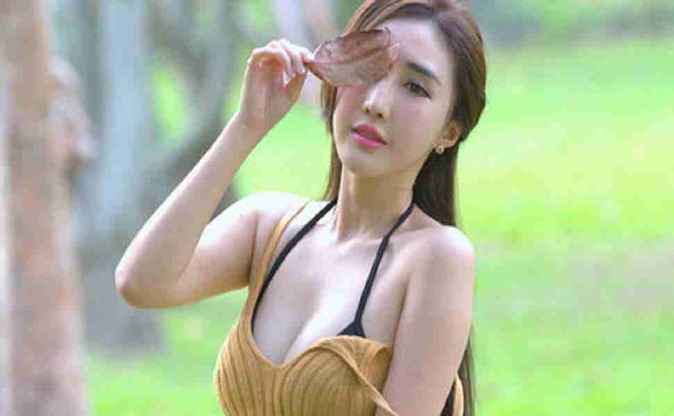 泛目录站群排名