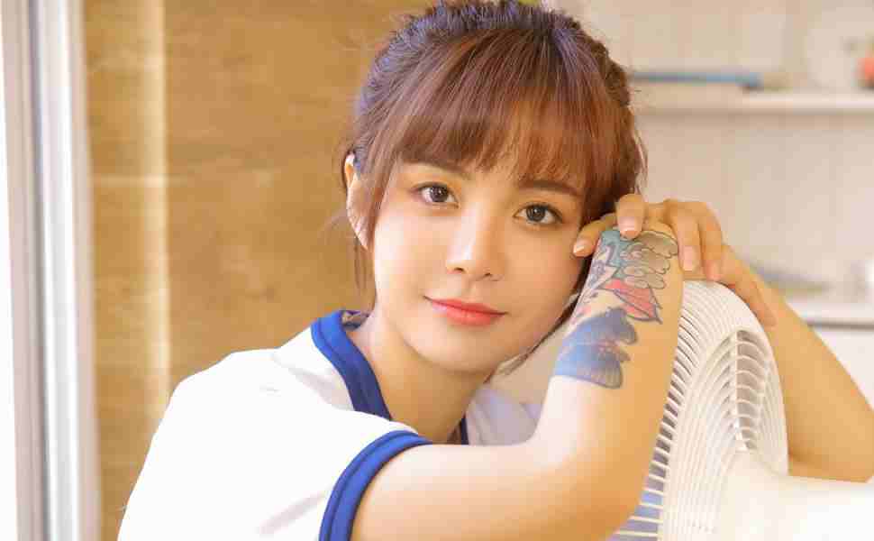 站群软件有哪些